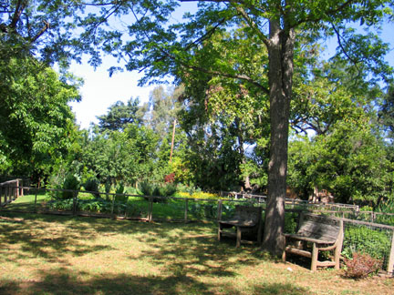 Studio Garden